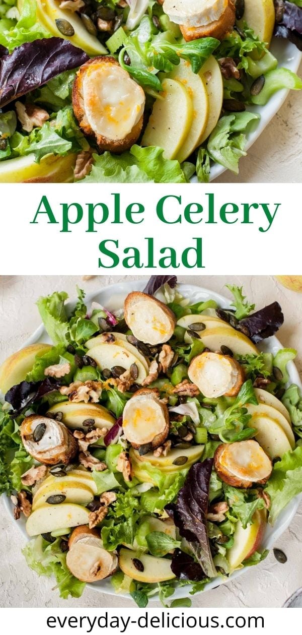 Apple celery salad with walnuts and goat cheese (video) - Everyday ...