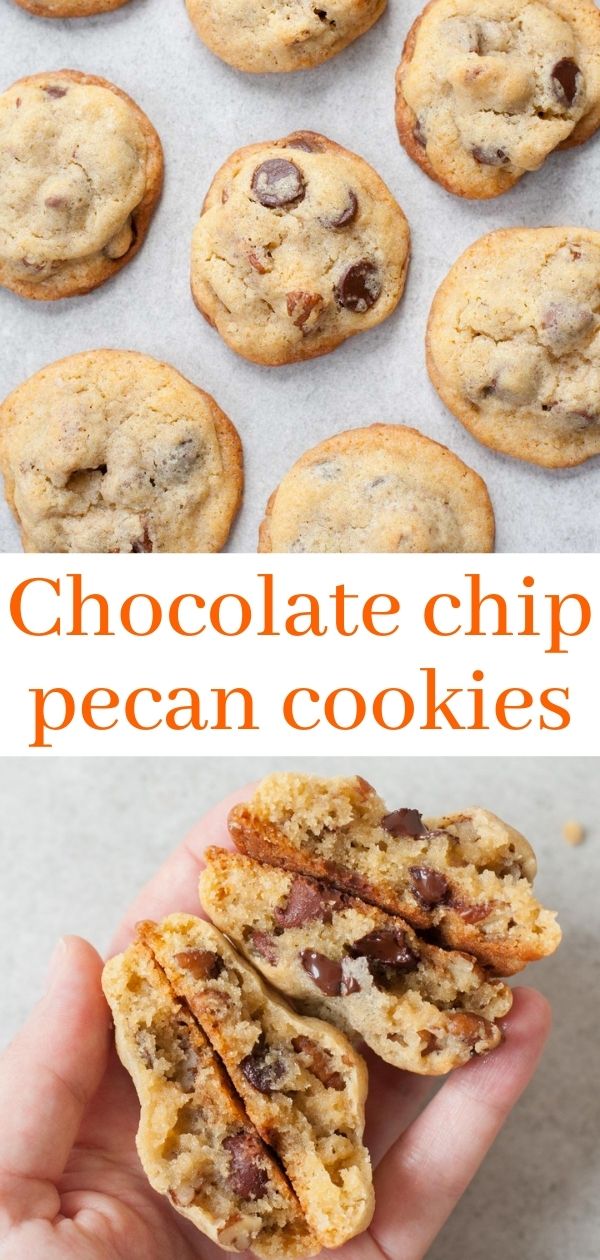 Chocolate chip pecan cookies - Everyday Delicious