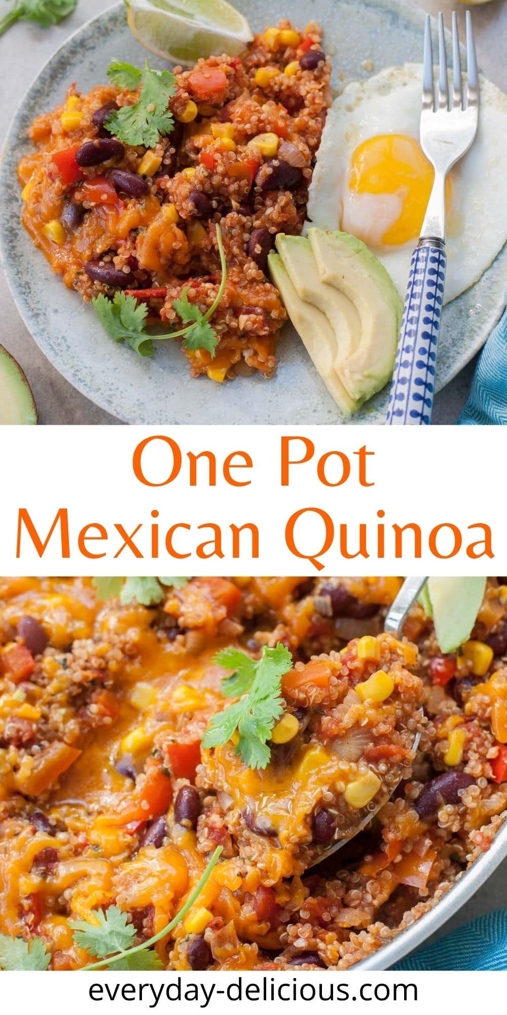 One Pot Mexican Quinoa - Everyday Delicious