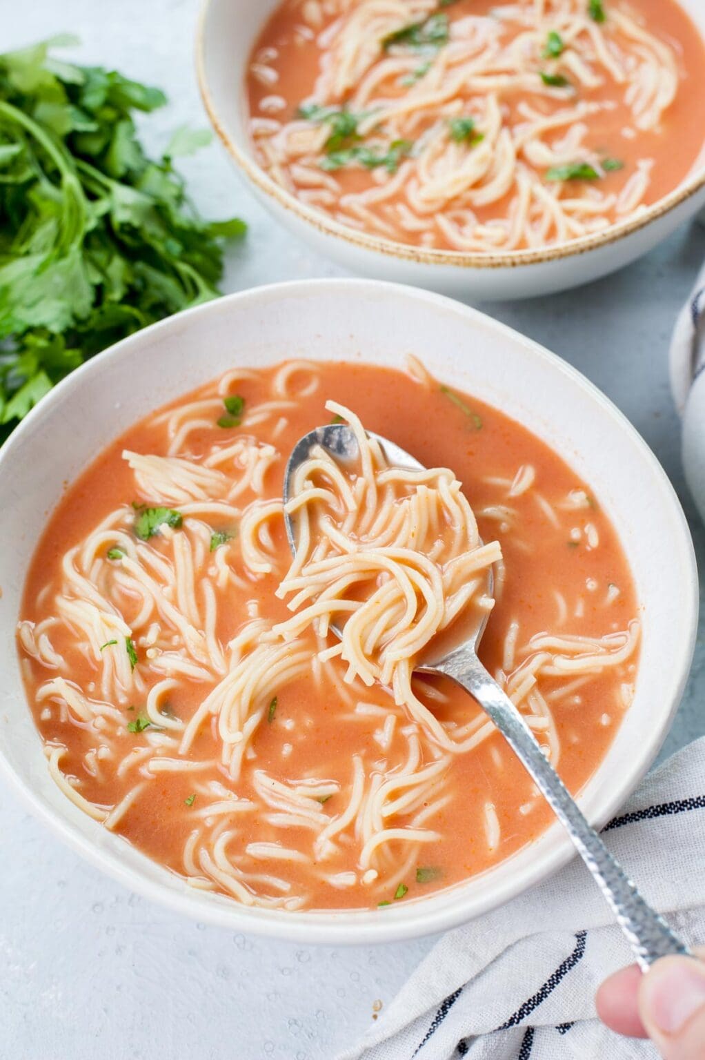 Polish Tomato Soup (zupa pomidorowa) - Everyday Delicious
