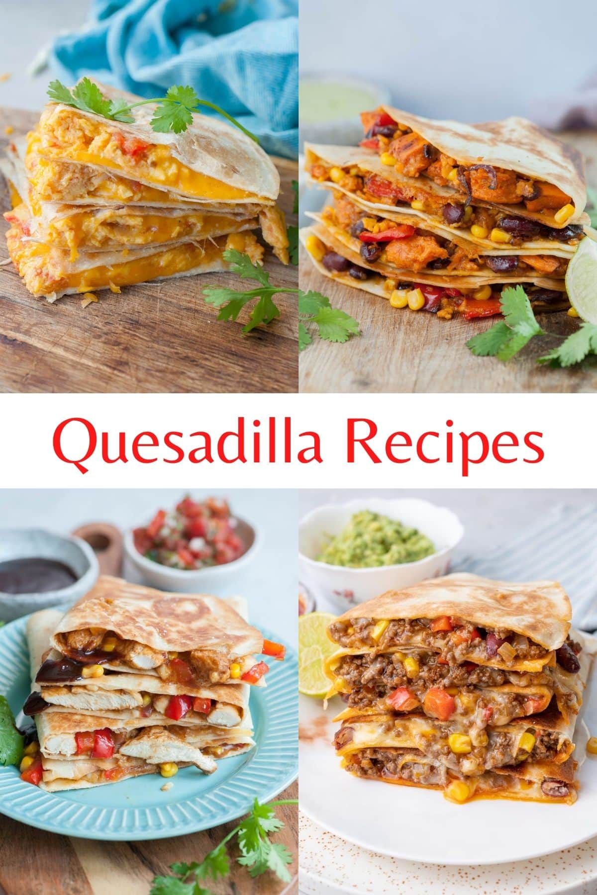 10+ Quesadilla Recipes (Quesadilla Fillings) - Everyday Delicious