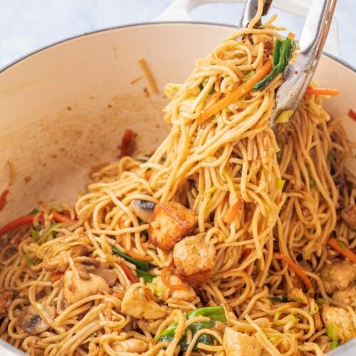 Chicken Chow Mein - Everyday Delicious