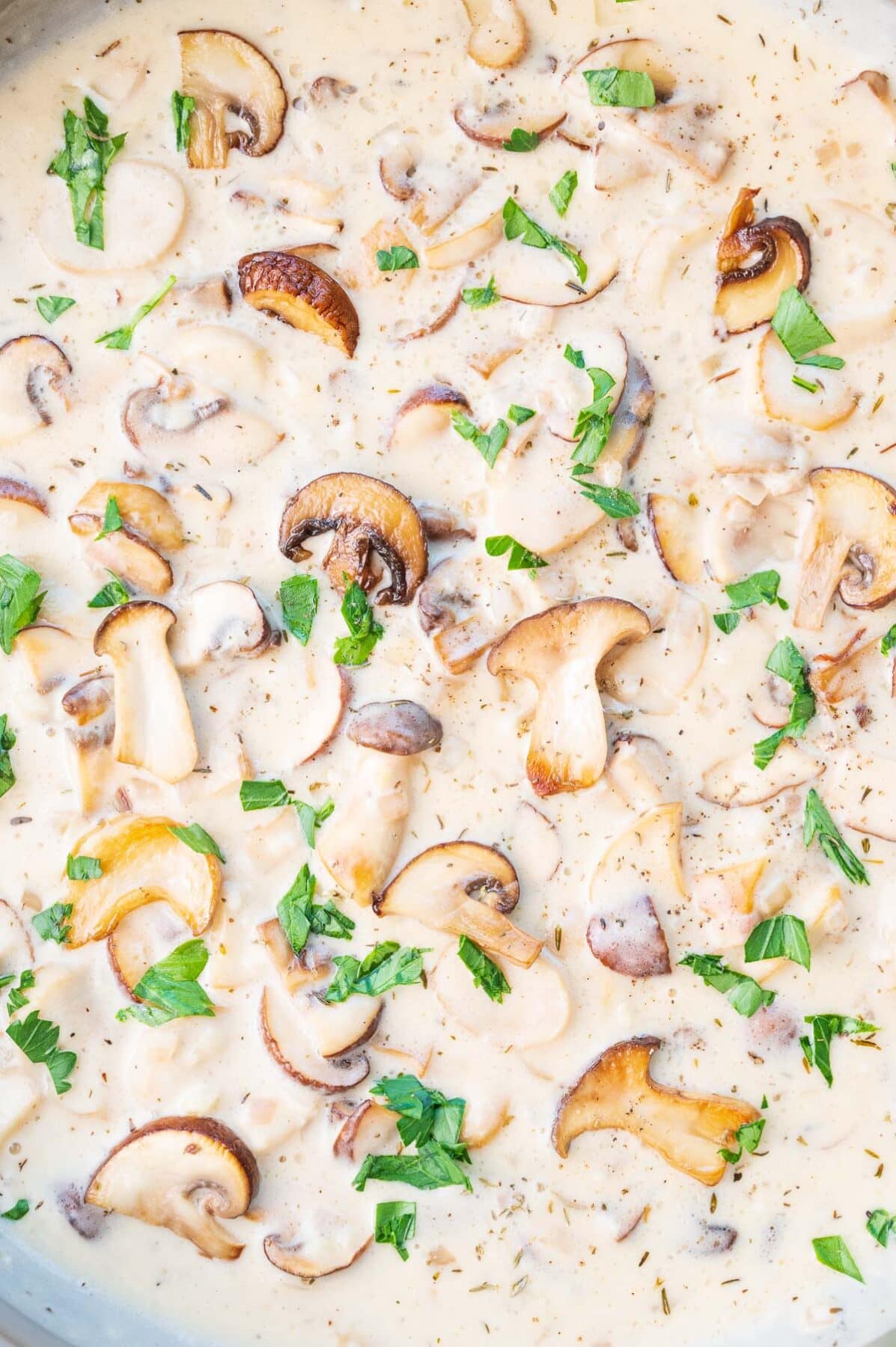 Creamy Mushroom Sauce Everyday Delicious