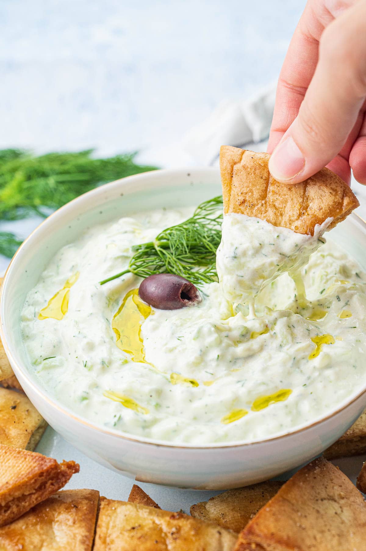 Tzatziki (Greek Yogurt Cucumber Dip) - Everyday Delicious