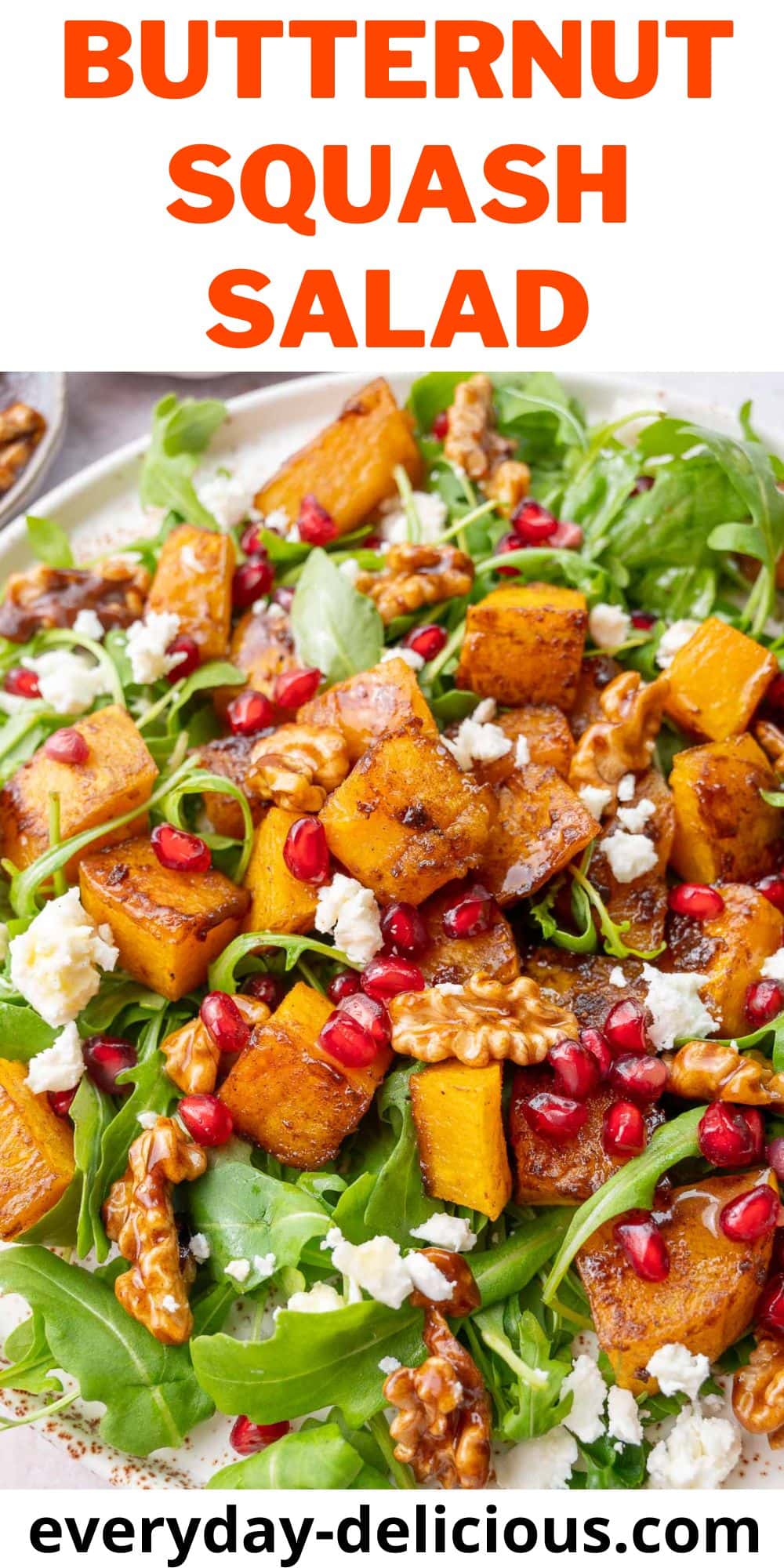 Butternut Squash Salad - Everyday Delicious