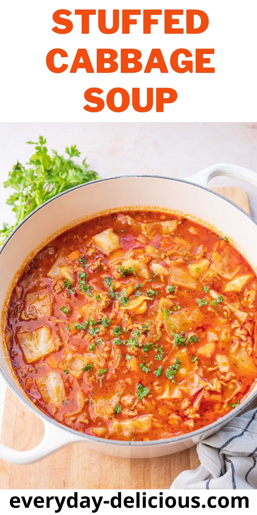 Stuffed Cabbage Soup (stove or pressure cooker)