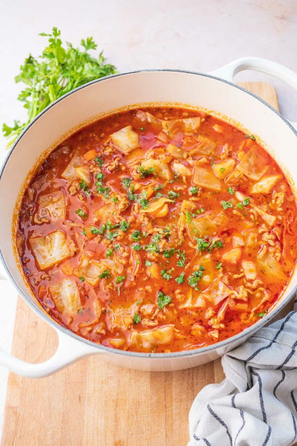 Stuffed Cabbage Soup (stove or pressure cooker)