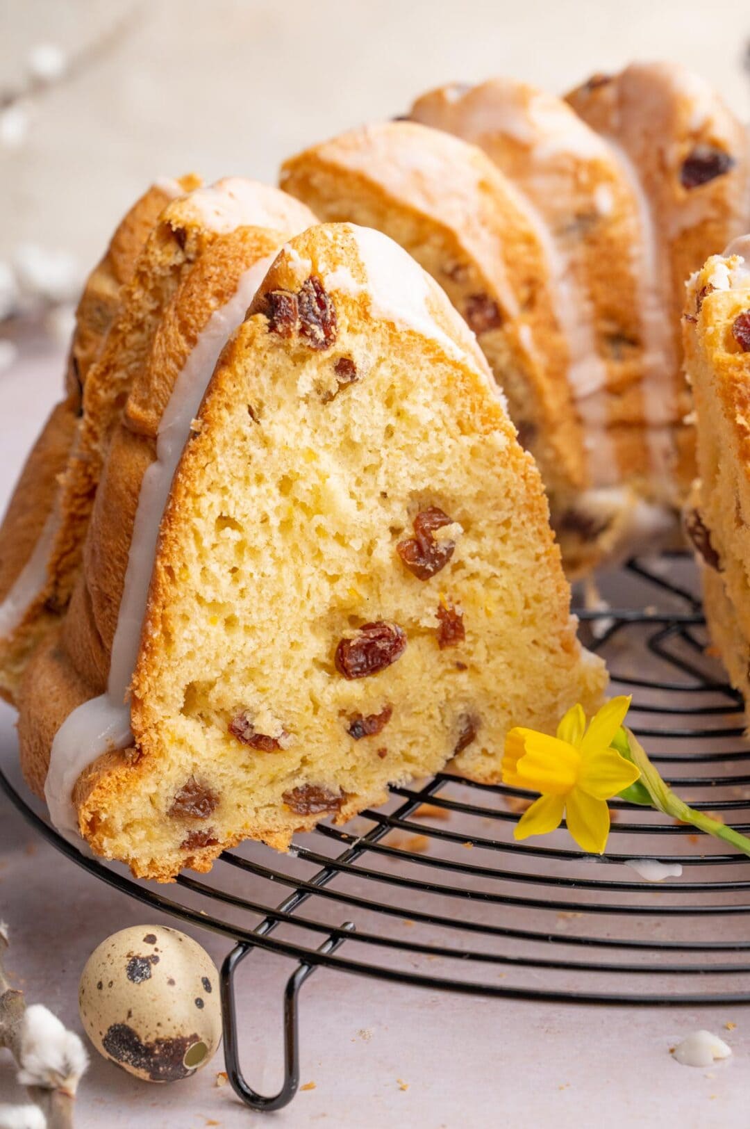 Polish Babka (Easter Yeast Babka with Raisins) - video!