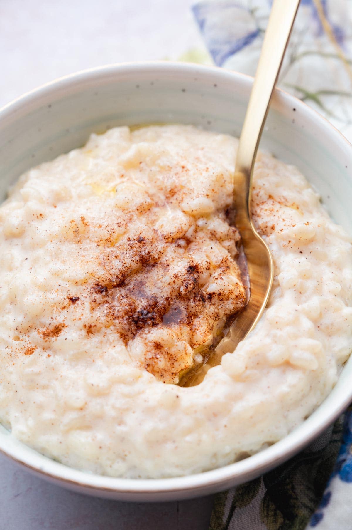 Milchreis (German Rice Pudding) - Everyday Delicious