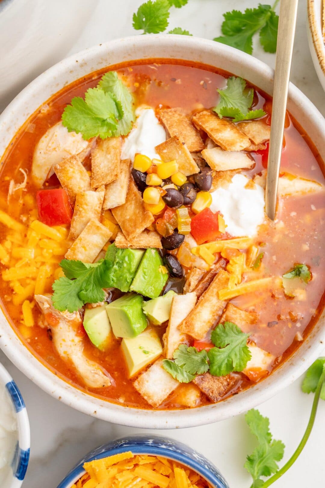Chicken Tortilla Soup (from scratch!) - Everyday Delicious