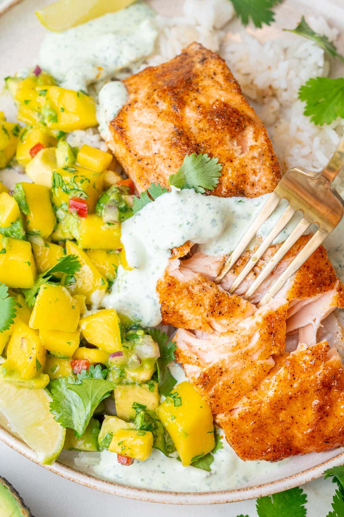 Baked salmon fillets with mango avocado salsa, cilantro lime crema, and rice in a bowl.