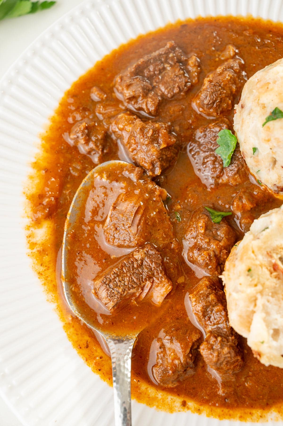 A close up photo of Viennese Goulash in a white plate with Semmelknödel on the side.