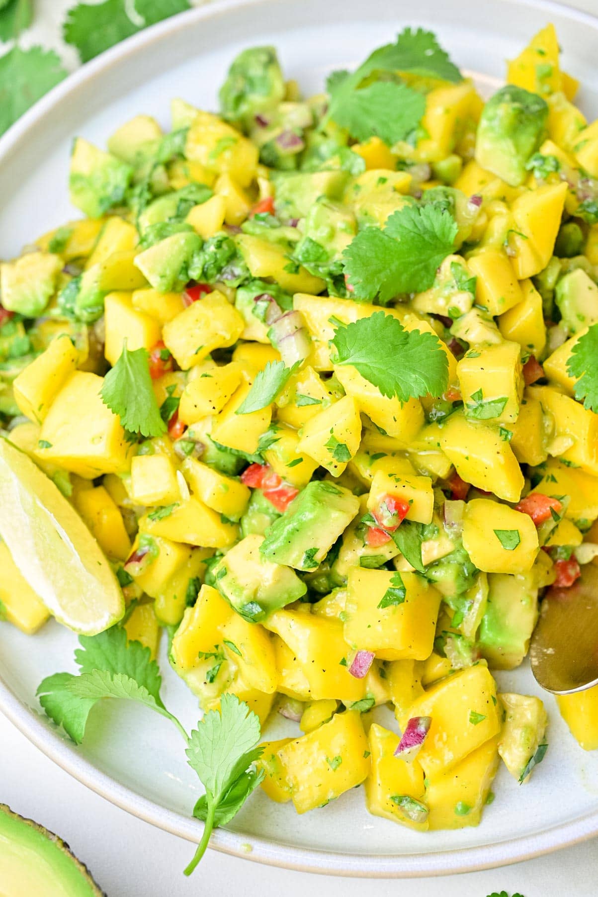 A close-up photo of mango avocado salsa on a white plate.