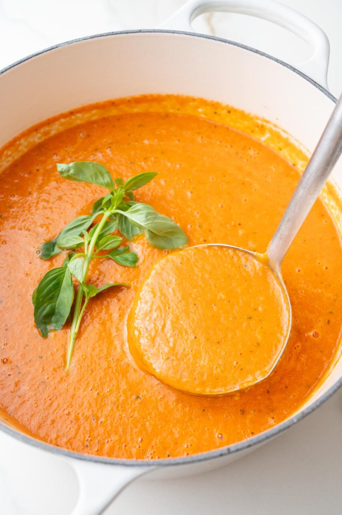 Roasted tomato soup in a large white pot and on a laddle, topped with basil leaves.