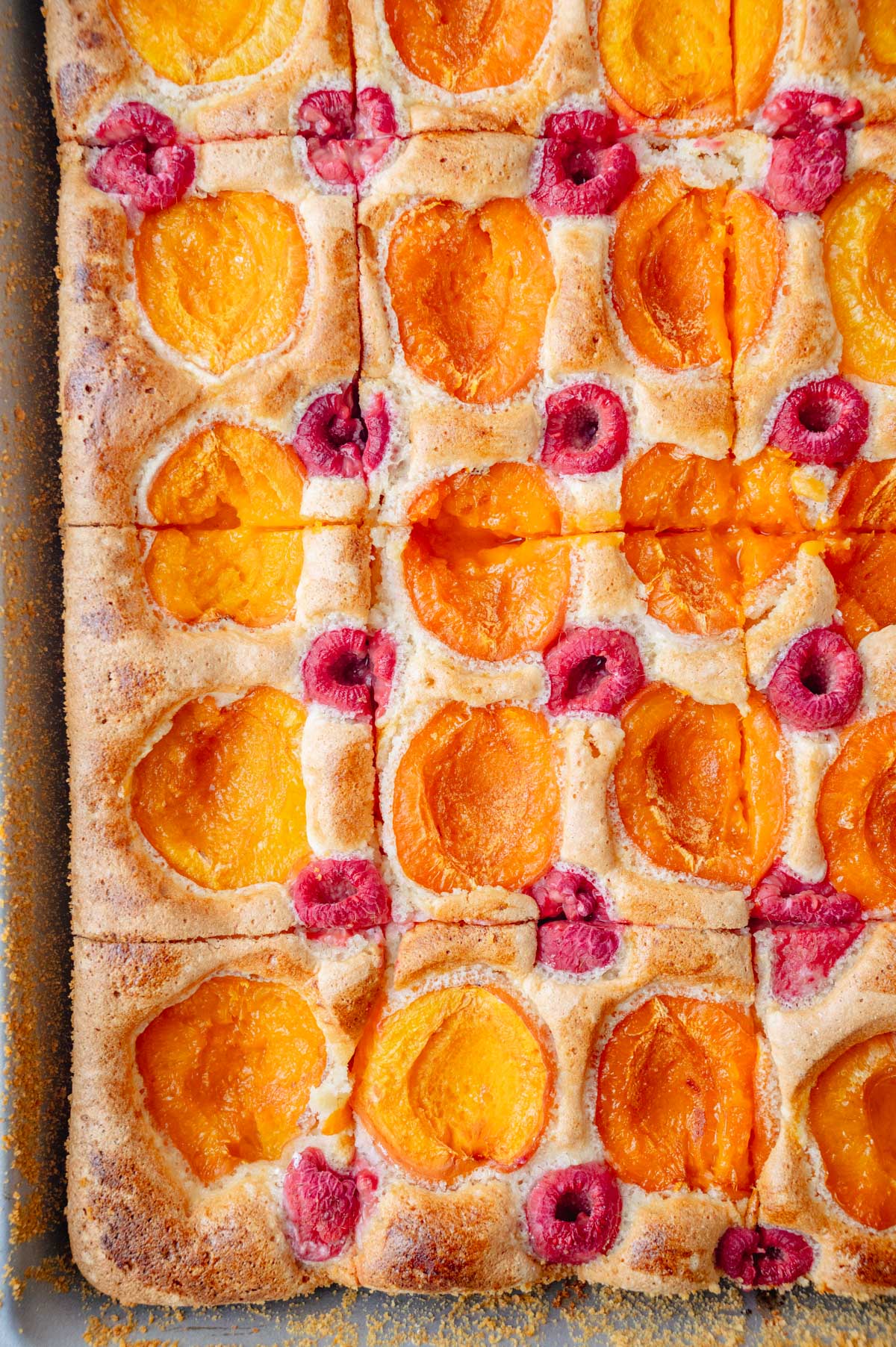 An overhead photo of Apricot Raspberry Sponge Cake in a baking pan.