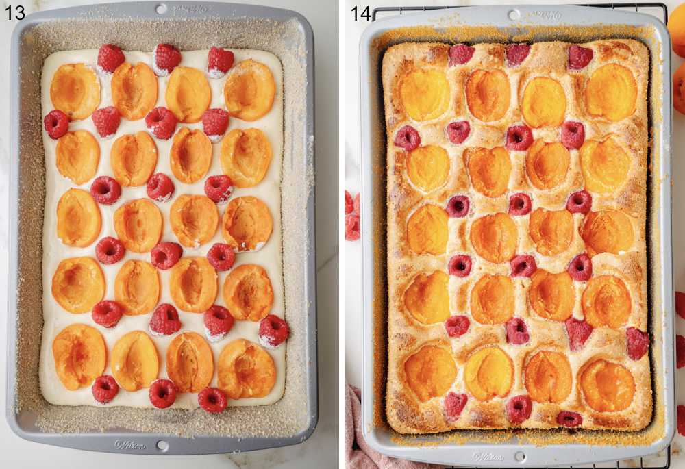 Sponge cake with apricots and raspberries in a baking pan ready to be baked. Baked sponge cake in a pan.