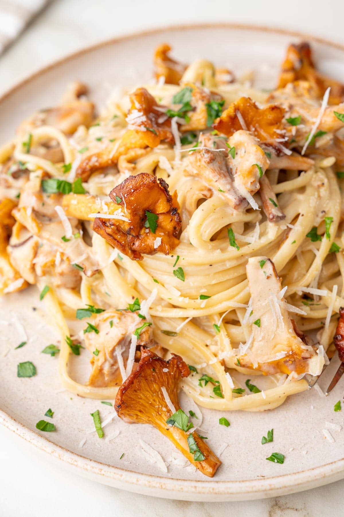 A close up photo of creamy chanterelle pasta on a beige plate.